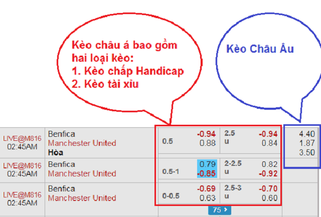 Xem tỷ lệ kèo bóng đá hiệu quả và chính xác